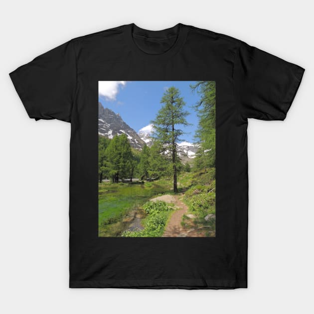 Lac Bleu T-Shirt by AlexaZari